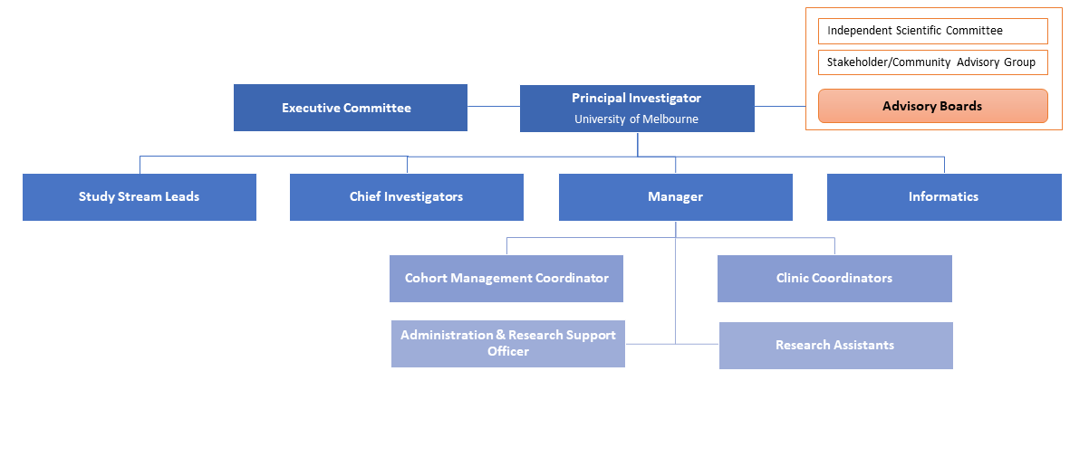 Current Governance Structure – TAHS